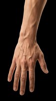 Male hand with visible veins isolated on transparent background, cut out png for stickers, print on demand, t-shirt design, and clipart use.