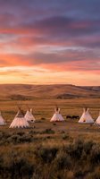 Traditional teepees scattered across golden prairie grassland under dramatic sunset sky with purple and orange clouds creating peaceful camping scene.