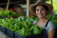 Young Hispanic female farmer in straw hat holding fresh lettuce harvest in crates, smiling while working at organic farm. Local sustainable agriculture concept.