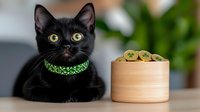 Black cat wearing bright neon green collar sitting at wooden table next to bamboo steamer basket filled with fresh sliced kiwi fruit, indoor setting with blurred background.