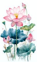 Pink lotus flowers and turquoise leaves in watercolor style on white background, delicate botanical art with soft color palette and graceful composition.