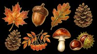 Autumn fall season collection with maple leaves, acorns, oak leaves, pinecones, mushroom, rowan berries, and chestnuts isolated on transparent background. Ready for t-shirts, stickers, clipart, and print-on-demand designs.
