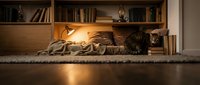 Cozy reading nook with warm lighting, books, and soft blankets creating perfect atmosphere for relaxation and literary escape at home.