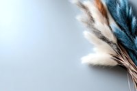 Soft dried pampas grass plumes in teal blue and neutral beige tones arranged against light gray background, creating minimalist botanical composition.