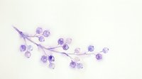 Delicate purple watercolor cherry blossom branch with soft blooms on light background for spring designs and botanical artwork.
