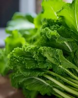 Fresh green kale leaves with curly edges and crisp stems shown in close-up macro photography, highlighting natural texture and vibrant color for healthy eating concept.