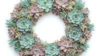 Succulent wreath with green and pink plants arranged in circular pattern on white background, isolated for home decor and craft projects.