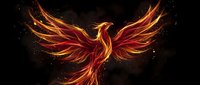 Majestic phoenix rising with fiery wings spread wide against dark background, mythical firebird in flames symbolizing rebirth and transformation for fantasy designs.