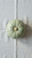 Fresh green acorn squash on white wooden background, overhead view for autumn cooking and harvest recipes.