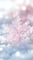 Delicate pink snowflake crystal macro on fresh snow with soft bokeh background. Natural winter frost pattern showing intricate ice formation detail in pastel colors.