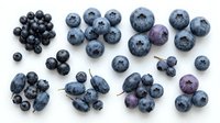 Fresh blueberries arranged in clusters on white background, showcasing ripe berries for food, nutrition, and culinary design projects.