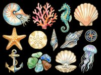Nautical sea creatures and shells collection isolated on transparent background, ready for t-shirt design, clipart, stickers, sublimation and print-on-demand projects.
