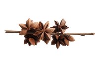 Star anise pods and branch on white background, aromatic spice ingredient for cooking and flavoring isolated for easy design integration.