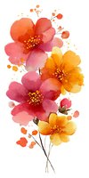 Vibrant watercolor floral composition with red and orange blossoms featuring delicate splashes and yellow stamens on white background, isolated for design projects.