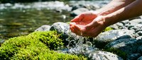 Hands cupping fresh mountain stream water with moss-covered rocks and flowing river in natural outdoor environment for wellness and purity concepts.