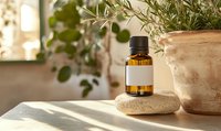 Essential oil amber bottle on stone with blank label near potted herbs in sunlight, natural wellness and aromatherapy concept for spa and holistic health.