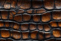 Macro shot of brown and black crocodile leather texture showing detailed scales, cracks, and natural pattern. Luxury material background for fashion design.