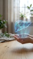 Holographic liver organ floating above open hands in bright home interior for medical healthcare and wellness concept presentations.