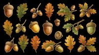 Acorns and oak leaves isolated on transparent background, ready for t-shirt design, clipart, stickers, sublimation and print-on-demand projects.