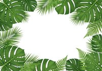 Tropical leaves frame with monstera and palm fronds creating natural border on white background for summer design projects and botanical themes.