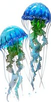 Vibrant blue and green jellyfish floating gracefully with translucent tentacles on white background, watercolor style artwork for sea life and ocean themes.
