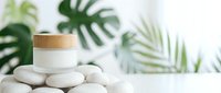 Cosmetic jar with wooden lid on smooth stones, blurred tropical foliage background, skincare and wellness product display.