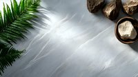 Fresh green fern leaf and natural spa elements on textured gray stone background with soft shadows for wellness and beauty product presentation.