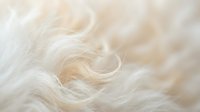 Soft cream colored fur texture with flowing wavy strands creating natural organic pattern for backgrounds and design projects.