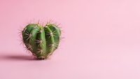 Heart-shaped cactus with spines on soft pink background for Valentine's Day, love concepts, and romantic greeting cards.