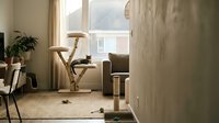 Cozy modern living room with a cat resting on a natural wood tree tower near a sunlit window, featuring neutral tones and pet furniture.