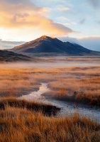 Dramatic mountain landscape at sunrise with golden light illuminating wetlands and tall grass, morning mist hovering over meandering stream beneath rugged peaks.