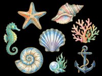 Watercolor ocean clipart set with seahorse, shells, starfish, coral, anchor, and pearl on transparent background. Ready for stickers, t-shirt design, and print on demand.