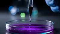 Laboratory pipette dropping purple liquid into petri dish for scientific research and chemical analysis in modern lab setting.
