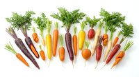 Fresh colorful heirloom carrots with green tops arranged on white background, organic rainbow vegetables for healthy cooking and farm-to-table cuisine.