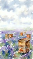 Watercolor painting of wooden beehives in lavender field under cloudy sky. Rural apiary scene with purple flowers and natural landscape for farming concepts.