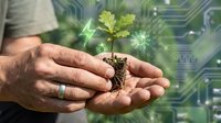 Hands holding seedling with soil against circuit board background, representing sustainable technology, green innovation, and environmental responsibility in digital transformation.