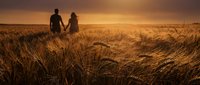 Couple walking hand in hand through golden wheat field at sunset, romantic silhouettes against warm orange sky, peaceful countryside landscape for love concepts.