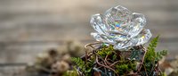 Crystal glass rose flower decoration on moss with natural wooden background for romantic gifts and home decor arrangements.