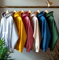 Colorful hooded sweatshirts hanging on wooden rack against white wall, including grey, yellow, pink, white, blue and green. Modern casual fashion display with plant.