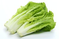Fresh romaine lettuce hearts with crisp green leaves and white stems isolated on white background, ready for salad preparation and food photography.