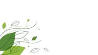 Green leaves floating on white background with organic botanical elements for eco-friendly design projects and natural branding materials.