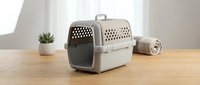 Pet carrier crate on wooden table with plant and towel in background, cozy home setting for safe animal travel and transport.