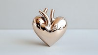 Metallic rose gold anatomical heart sculpture on white background, combining romantic symbol with medical accuracy for modern decor and design projects.