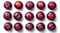 Fresh dark red plums arranged in neat rows on white background, showing ripe seasonal fruits with natural shine and texture, isolated for food design.