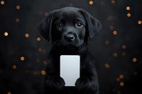 Black Labrador puppy holding blank white card against dark background with golden bokeh lights, creating magical holiday atmosphere for pet photography.