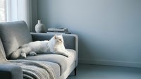 Fluffy white Persian cat resting on a modern gray sofa in a serene, light blue living room interior with copy space.