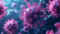 Microscopic view of coronavirus cell structure in pink and purple colors against dark blue background showing detailed spike proteins and viral membrane.