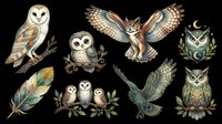 Barn owl, screech owl, and horned owl illustrations isolated on transparent background, ready for t-shirt design, clipart, stickers, sublimation, and print-on-demand products.