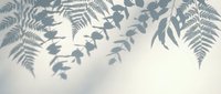 Delicate fern leaves and botanical foliage casting soft shadows on neutral background for natural organic design and peaceful home decor projects.