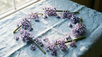 Heart-shaped wreath made of fresh purple lilac flowers on rustic wooden surface near window. Spring floral arrangement for romantic decor and crafts.